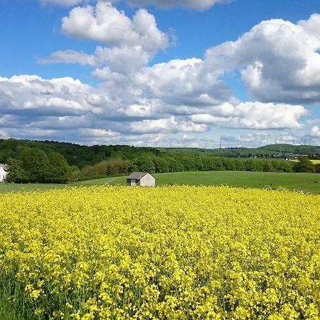 Ferienwohnung An Der Almequelle บรีโลน ภายนอก รูปภาพ